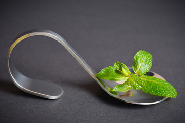 Side view of Fresh mint herb brunch served on metal stainless steel spoon on dark background. Single food ingredient. Peppermint leaves in serving spoon. Copy space image
