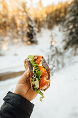 Picnic on a winter day. Salmon sandwich with fresh vegetables