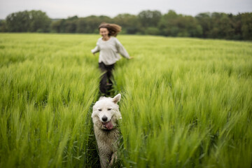 Woman with big white sheepdog running on green rye field. Farming and countryside life. Freedom and...