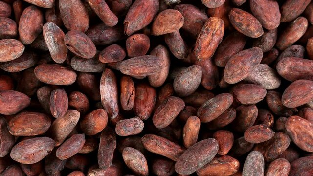 Super Slow Motion Shot of Moving Raw Cocoa Beans, 1000 fps.