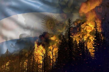 Forest fire fight concept, natural disaster - infernal fire in the woods on Argentina flag background - 3D illustration of nature