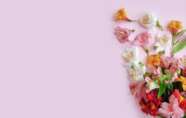 Fototapeta na wymiar beautiful bouquet of alstroemeria on color background frame