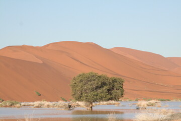 Desert in Namibia