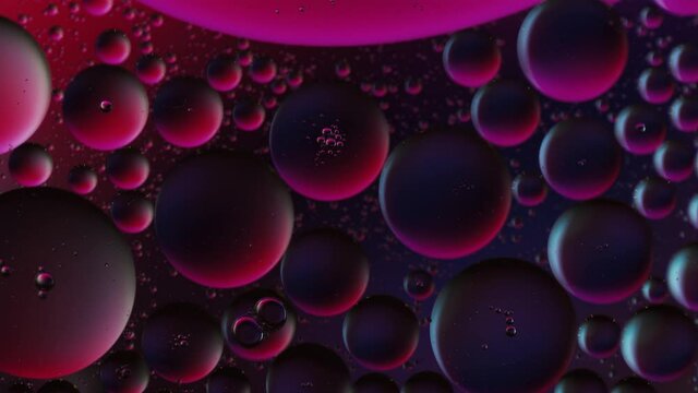colored bubbles of water and oil - red and purple
