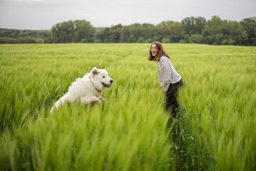 Obraz premium Funny big white sheepdog jumping on green rye field and playing with female owner. 