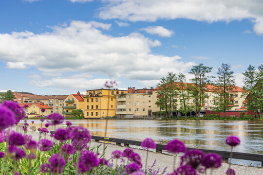 Eskilstuna, Sweden - June 1, 2021. River with buildings background and purple flower foreground on sunny day. Relaxing people and reflection effect on the river with cloudy blue sky