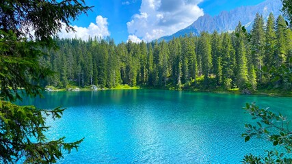 lake carezza in the forest