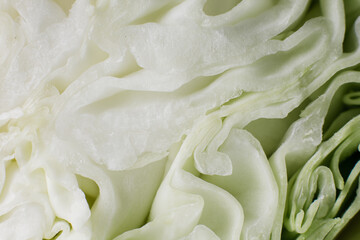young fresh cabbage in a cut close-up food background