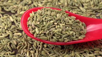 Fennel is a highly aromatic and flavorful herbs used in cooking and drinks are used as breath freshener.