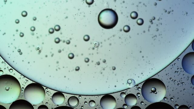 colored bubbles of water and oil - blue