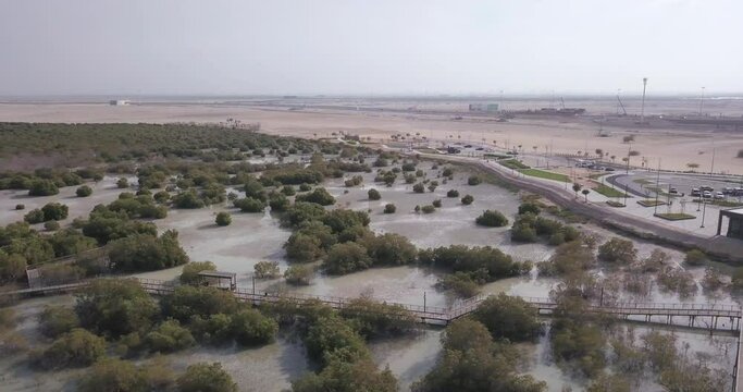 Jubail Mangrove Park and Visitors Center, Abu Dhabi, Drone Aerial View of Nature Reserve of United Arab Emirates