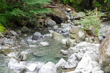stream in the forest