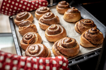 Female hands are taking out fresh fragrant cinnamon rolls from the hot oven. Concept of the homemade baking and cooking