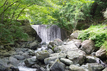 waterfall in the woods