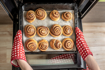 Female hands are taking out fresh fragrant cinnamon rolls from the hot oven. Concept of the homemade baking and cooking
