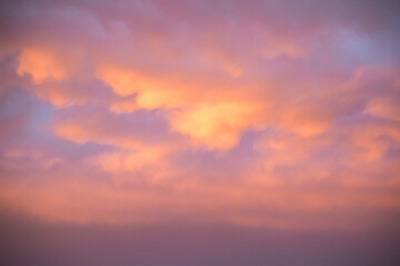 Naklejka na ściany i meble Sky with sunset. Pink and gold clouds. The lights of a sun. Dawn. Landscapes. Nature.
