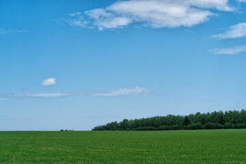 Rural scene with Green field and blue sky.