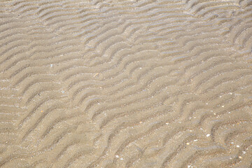 Fototapeta na wymiar Riffel im Sand an der küste von Rømø 