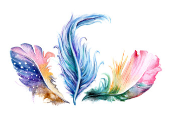 Watercolor illustration. Hand drawn feather set. Boho style. Elements for design