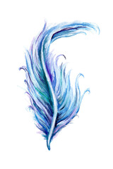 Watercolor illustration. Hand drawn feather set. Boho style. Elements for design