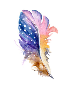 Hand drawn watercolor paintings vibrant feather set. Boho style wings. illustration isolated on white. Bird fly feathers bohemian design. Rustic Bright colors decoration.