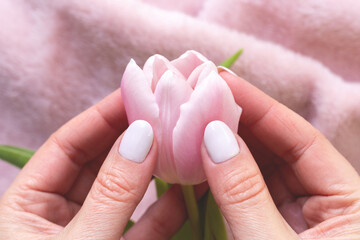 Obraz na płótnie Canvas Female hands with beautiful manicure - white ivory nails with tulip flower on blurred pink fabric background. Selective focus