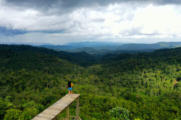 A woman or tourist is looking over a tropical forest canopy from a small jetty or lookout point