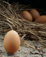 an egg on a straw background