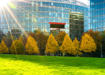herbstliche Bäume in der Stadt