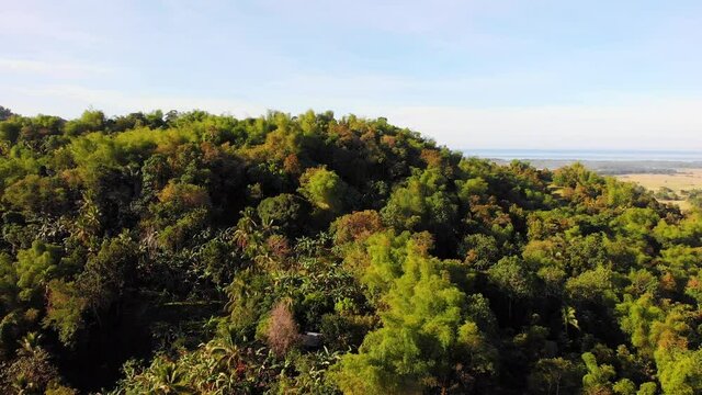 Jungle covered mountains in the Philippines, Aerial view	