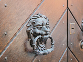 Wooden door, detail. Door knocker in the shape of a lion.