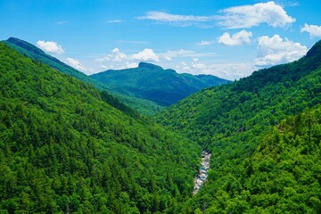 Fototapeta na wymiar appalachian mountain landscape in summer