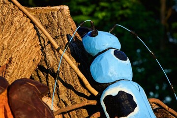 Artifacts that you will meet in the park during a walk, nature, trees, pointers, birdhouses, etc.
