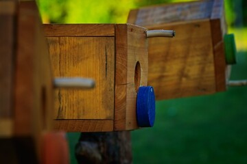 Artifacts that you will meet in the park during a walk, nature, trees, pointers, birdhouses, etc.
