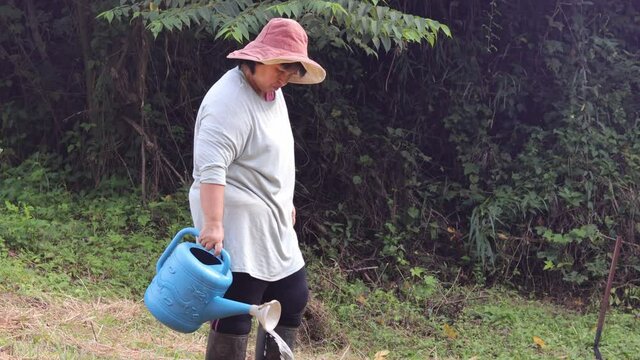 Middle-aged Asian woman watering plants in the garden, senior woman taking care of trees .