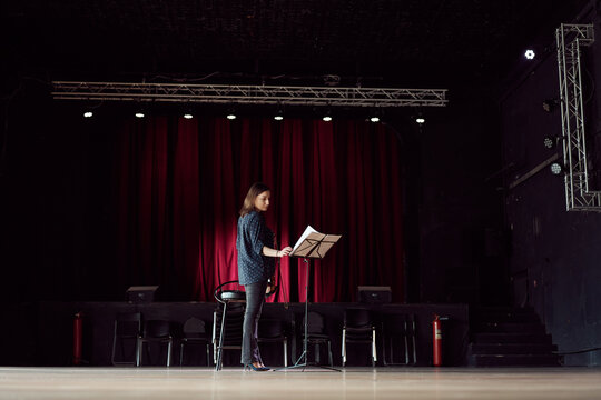 Professional Violinist Reading Sheet Music In Concert Hall