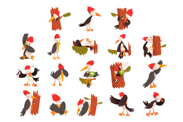 Cute Woodpeckers Set, Funny Bird Character Activity Cartoon Vector Illustration