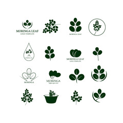 Set Moringa leaf Logo Template vector symbol nature