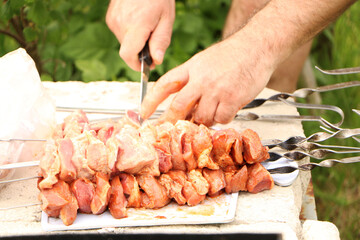 Meat kebab on the grill on a green background. Summer vacation and traditional outdoor BBQ picnic.