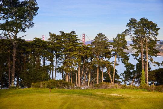 A golf course in San Francisco. In the background you can see the world famous Golden Gate Bridge. Day. Feel like playing golf? Let's go!