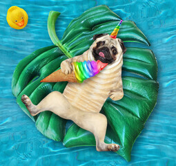 A dog pug unicorn with a cone of ice cream is lying on an inflatable green leaf in a swimming pool at the resort.