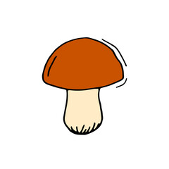 Mushroom. Porcini. Vector hand drawn doodle illustration.