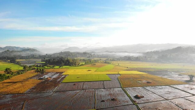 Aerial View, plowed arable land for rice planting in the Philippines	