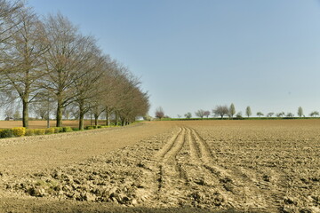 Traces de roues de tracteur à l'un des champs au début du printemps à Ecaussinnes 