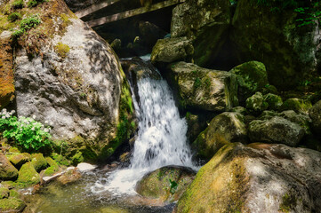 Wasserfall umgeben von malerischer Natur, grünem Moos und beeindruckenden Felsformationen