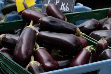 A blue plastic crate full of dark purple aubergines on display at a market stall
