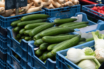 Cucumbers, fennels, parsnips and red peppers in blue plastic crates for sale in a market stall