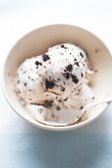 Chocolate cookie vanilla ice creams in bowl 