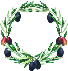 Olive tree branch wreath, green leaves and black fruits frame, vintage botanical illustration