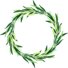 Olive tree branch wreath, green leaves frame, vintage botanical illustration